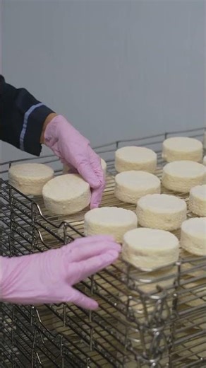 The Deepest Ocean Trench #shorts