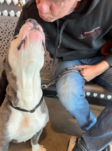 Betty Deville | Brandywine Valley SPCA