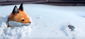 5.2K views · 72 reactions | A beautiful an tender story of a fox that meet a mouse while he was trying to hunting him and they will get friends after live a little problem <3 | Furros Latinoamerica | Facebook