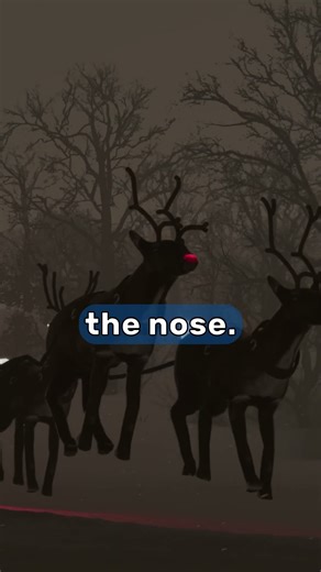 How Aviation Becomes Magical for just One Night a Year! - Taking Flight with Santa!