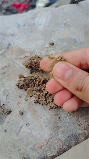 let's make cute mini flowerpot # bebot