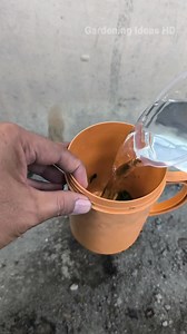 68K views · 307 reactions | Mengusir hama tomat pakai daun pepaya | Gardening Ideas HD | Facebook