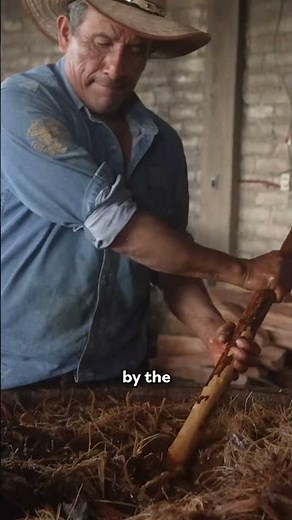 Next time you order mezcal, give thanks to the mezcaleros and their craft. 🍹