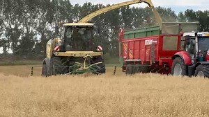 49K views · 246 reactions | GPS hakselen door loonbedrijf Van Hooste Guy uit Sint-Gillis-Waas. Een mengsel van haver met luzerne. Geen probleem voor de Krone BiG X 630 uitgerust met een EasyCollect 750/2 voorzetstuk. #kroneagriculture #hakselen #kronebigx | KRONE Agriculture | Facebook