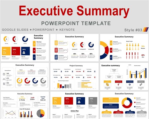 Executive Summary Powerpoint Template, Executive Summary Slide, Project Summary Template, Project Summary Report, Executive Summary Template - Etsy UK