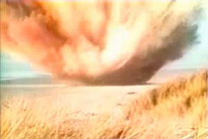 Beached whale: Internet mourns Oregon man who dynamited dead whale in 1970