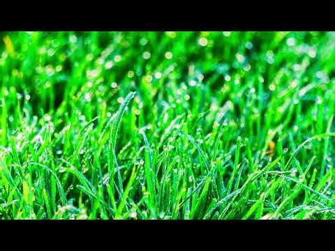 Farming Farm -Calm Life Music for content creator