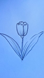 How to draw an amazing Tulip with U #tulips #pencildrawing #artwork #birdwatching #drawing #painting | Art Book