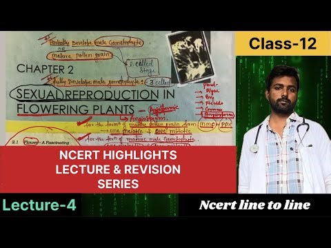 Lec-4 SEXUAL REPRODUCTION IN FLOWERING PLANTS 🌱 || NCERT HIGHLIGHTS || NCERT LINE TO LINE