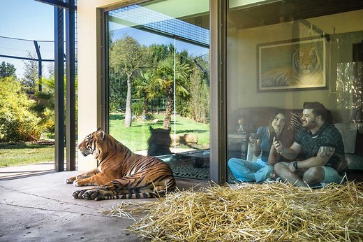 Have a wild stay at Jamala Wildlife Lodge