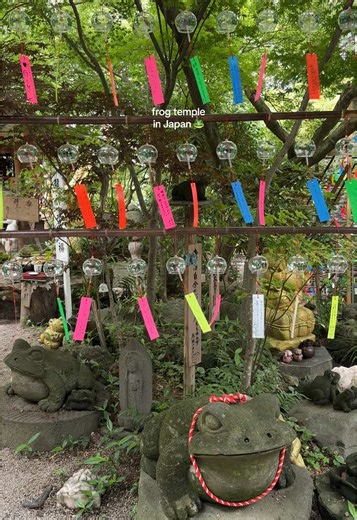 Discover the Lucky Frog Temple in Japan