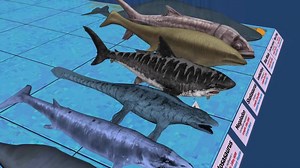 海洋生物大小比较(3d版)Sea Monsters Size Comparison