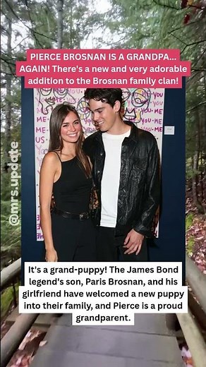 Pierce Brosnan's Son Welcomes New Addition to the Family! #PierceBrosnan #Family