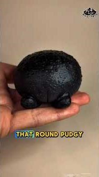 desert rain frogs frog jumping screaming Rain frog walking swimming, Rain frog as Pet #frog #pet