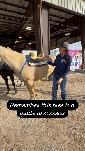 🐴LONGISSIMUS DORSI AND THE SADDLE . 🐴The longissimus dorsi muscle in a horse’s back supports the saddle and rider, but its main function is to extend the horse’s back and transfer forces from the hindquarters to the rest of the body: 🐴Extension The longissimus dorsi helps create extension in the horse’s back, especially when standing still or bracing. 🐴Force transfer The longissimus dorsi helps transfer forces from the hindquarters to the rest of the body. For example, when the horse shifts