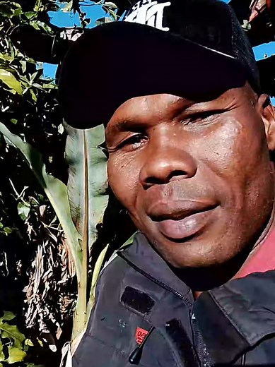 50 Cent's 'Just a Lil Bit': A Hip Hop Journey