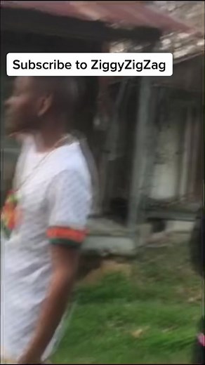 #subscribeToZiggyZigZag. | Ziggy Zig Zag