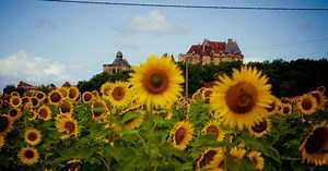Au cœur du Périgord pourpre, ce somptueux château est classé monument historique