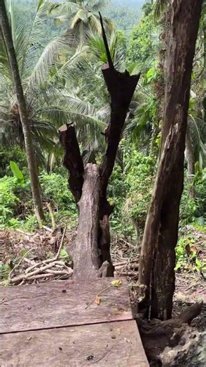 Installation of stilt house floors