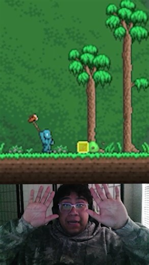 Learning How to Build A Terraria AI