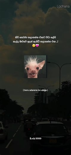 මේව සල්ලි 😒💗 #fffffffffffyyyyyyyyyyypppppppppppp #whatsappstatusvideo #whatsappstatus #status #viral_video