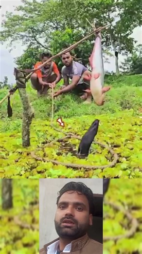 ുകദ൫ജലദ൬ #tamilcinema #fishing #songs