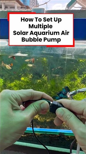 How to Set Up Multiple Solar Powered Aquarium Air Bubble Pump