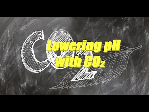 Carbon dioxide lowers pH in swimming pool water