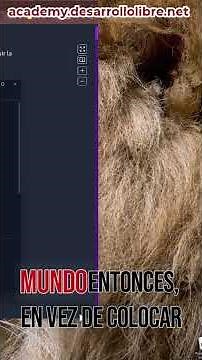 🔴 Laravel - Debugging with dd() #55