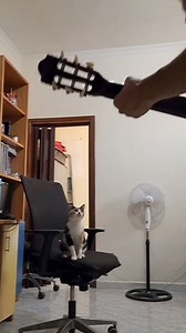 3.3M views · 94K reactions | A lyrical masterpiece | Steven Michael Martin | Facebook