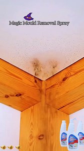 🌱 Tartsa frissen és egészségesen a terét ezzel a nem mérgező penészgomba elleni védőpajzzsal. Megtakarítás -48%! Ideális a falakon, mennyezeteken és szöveteken lévő nedves foltok ellen. Könnyen használható, hosszan tartó védelem és kellemes illat. Az 500 ml több területet is lefed otthon vagy a munkahelyen. 🧴 🛒👉 shop.s-mania.com/l1/hu/penesz-elleni-spray-mold-remover | Iram nyaklánc