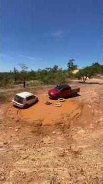 Daily Vlog | Resgate do UP