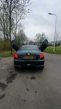 peugeot 206 cc 2.0 150HP straight pipe