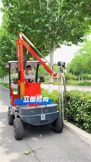 Unleash Evergreen Pruning Power: 3 Must-Have Features