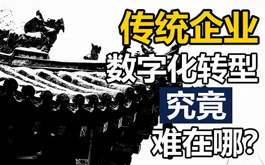 数字化转型 快速理解与实践-塑造数字化企业文化（完整修正版）
