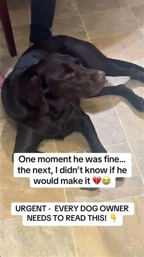 One moment he was fine…