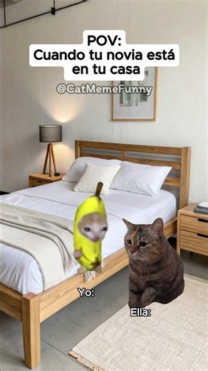 Funny cat meme 😹 When your girlfriend is at your house #relatable #relationship #cat