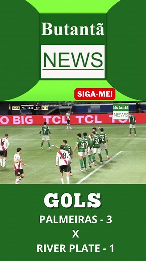 Gols Palmeiras e River Plate #palmeiras #futebol #libertadores #gol