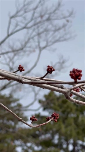 Don’t Worry 😉 I saw Sign of Spring outside. Spring is Blooming #ytshorts #crochetpatterns