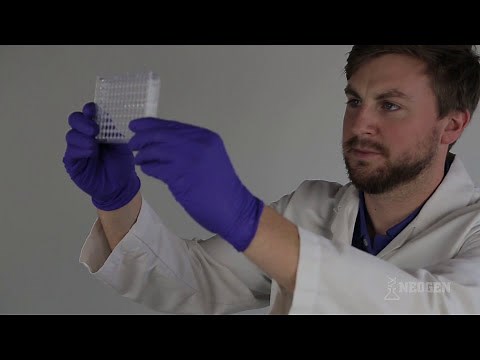 NEOGEN® Training | Veratox® MAX for Total Aflatoxin