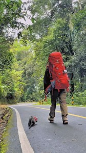 12K views · 10K reactions | ️劣 | Day Gery | Facebook