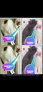 9.1K views · 132 reactions | Kompilasi MDR KOCAK terbaru YOUTUBE:https://www.youtube.com/channel/UCdx6FJiEvS3D1IraA3cC3uA | GuntuR MadurA KocaK | Facebook