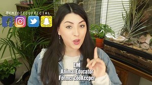 7.7K views | Want to know the best way to hold a tarantula? If you're brave enough, watch Emzotic's super educational tutorial! https://youtu.be/78xqGaBNC6E | RHEI | Facebook