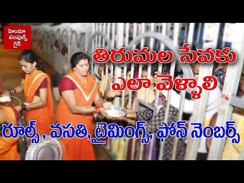 How to Apply Tirumala Seva TTD Rules Seva Timinigs Accommodation Phone Numbers Complete Details