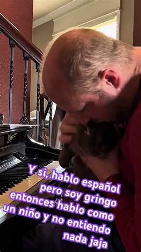 When a Bad Bunny interrupts the jam lol