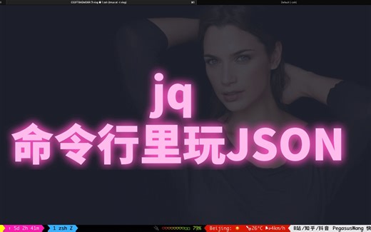 jq 命令行里玩 json