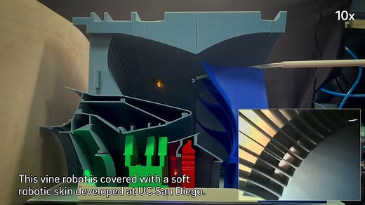 Soft skin allows vine robots to navigate complex, fragile environments