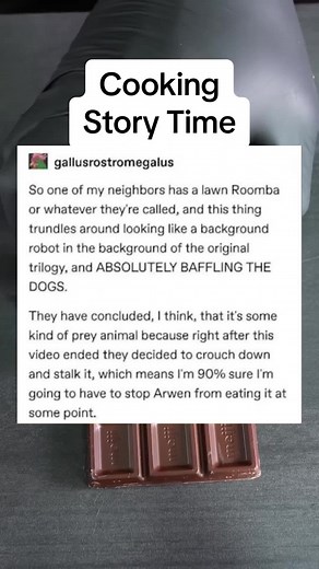 Lawn Roomba Vs Dog: A Hilarious Tale of Herding Robots