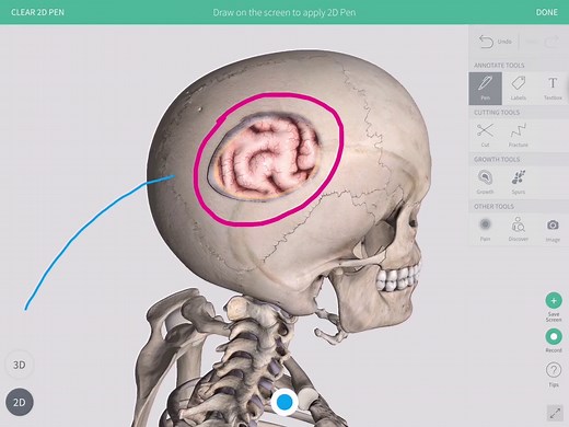 Complete Anatomy v Essential Anatomy 5 Comparison
