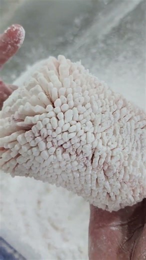 完美烹饪松鼠鱼的秘诀